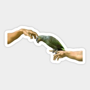 Michelangelo's Blue Fronted Amazon Sticker